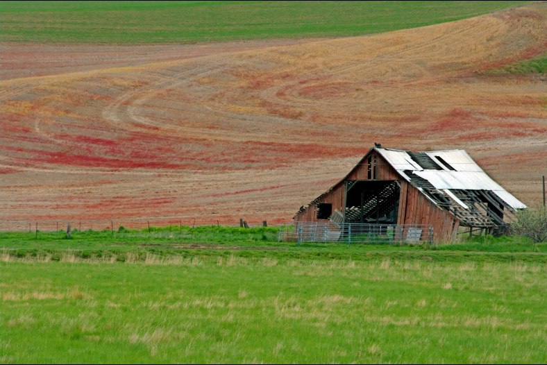 The Barn At The Painted Hills.